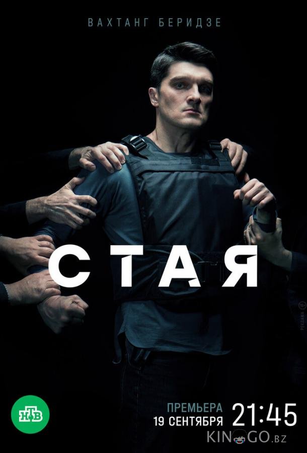 Стая Стая 1 20