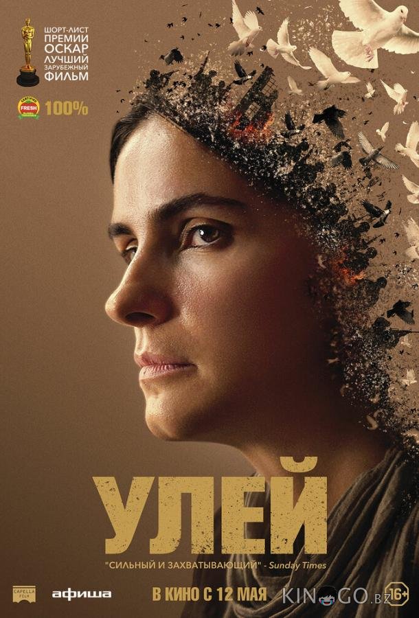 Улей Улей