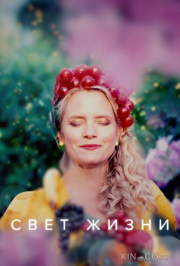 Свет жизни Свет жизни 1 7