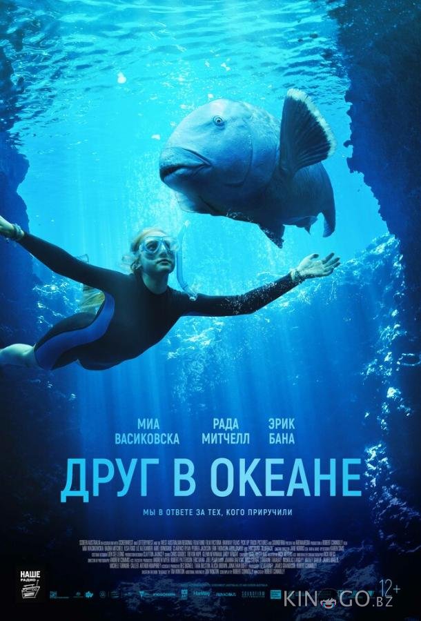 Друг в океане Друг в океане