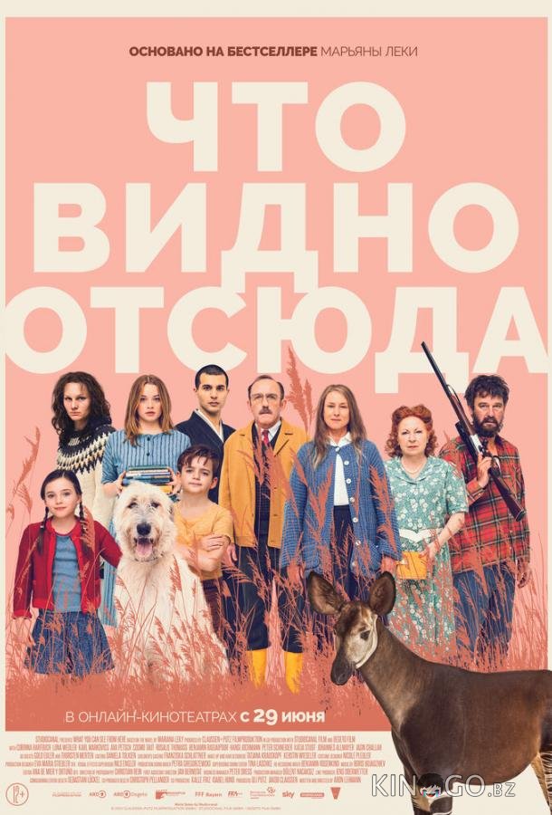 Что видно отсюда Что видно отсюда