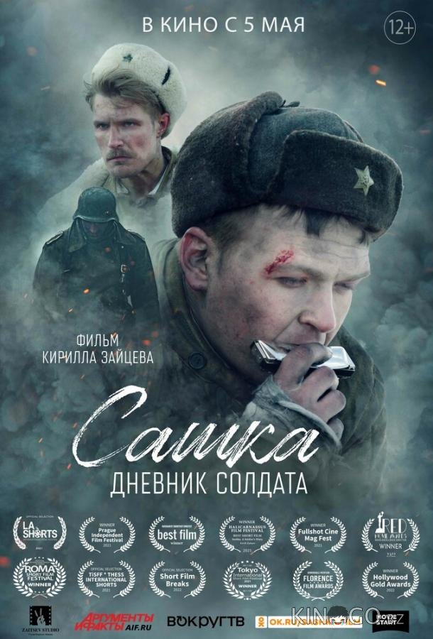 Сашка. Дневник солдата Сашка. Дневник солдата