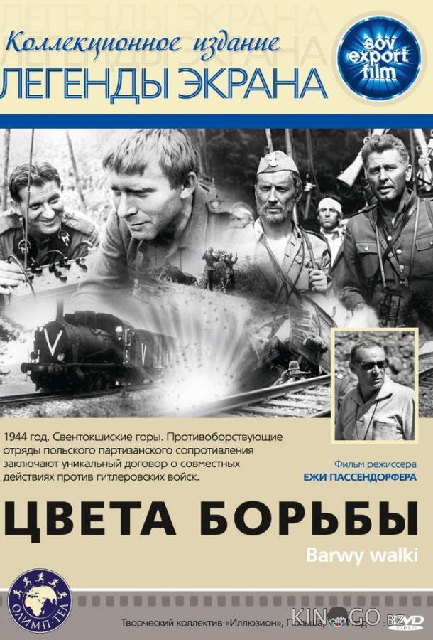 Цвета борьбы Цвета борьбы