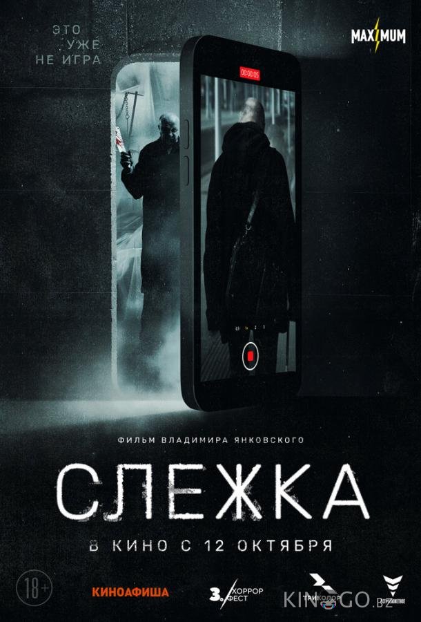 Слежка Слежка