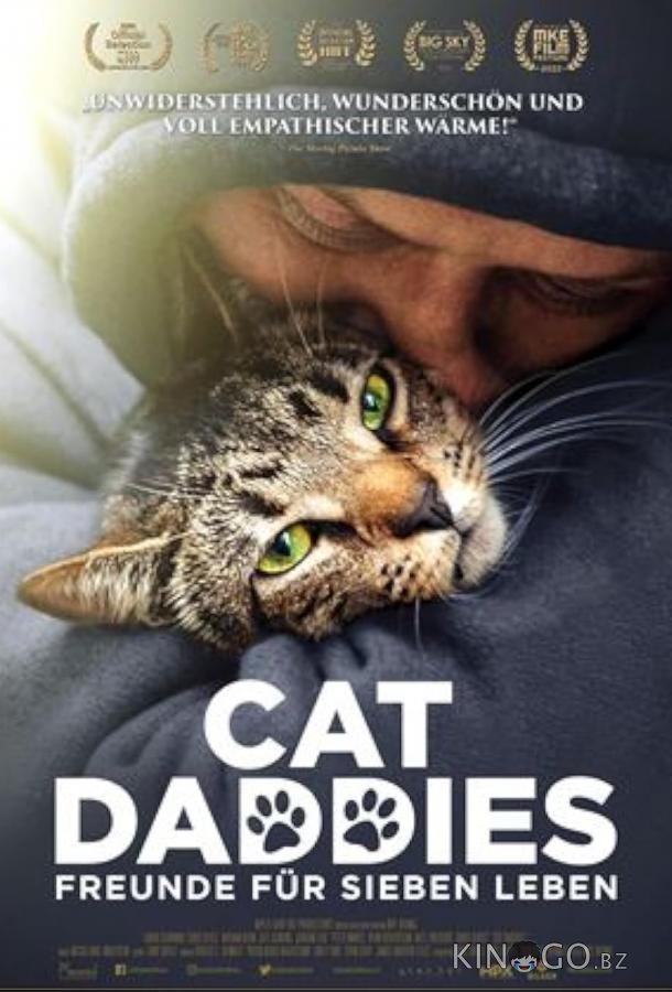 Котики Котики