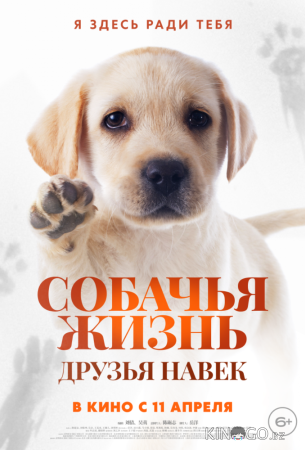 Собачья жизнь: Друзья навек Собачья жизнь: Друзья навек