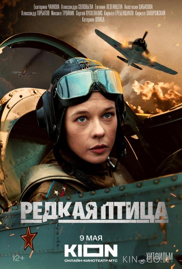 Редкая птица Редкая птица 1 4