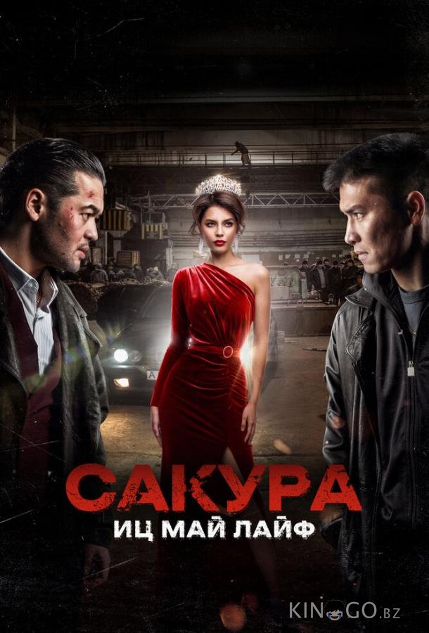 Сакура. Иц май лайф Сакура. Иц май лайф
