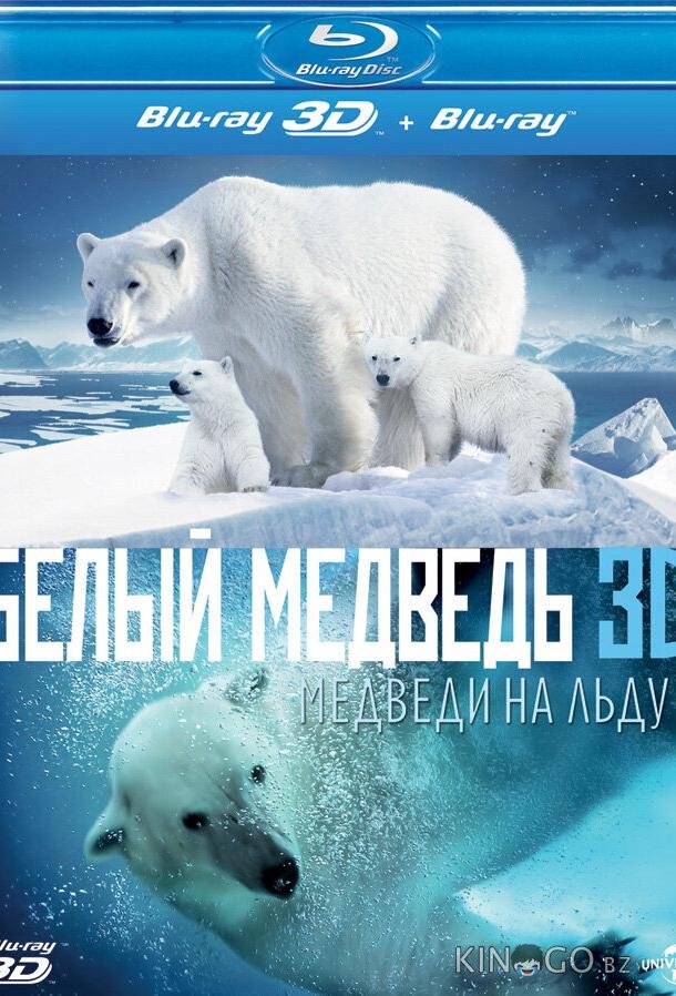 Полярные медведи Полярные медведи