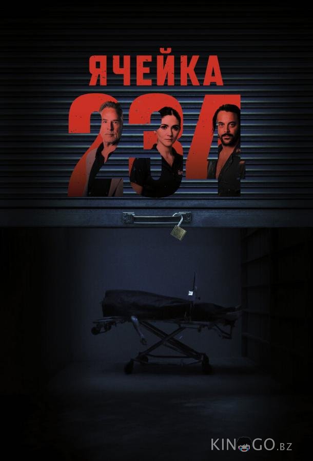 Ячейка 234 Ячейка 234
