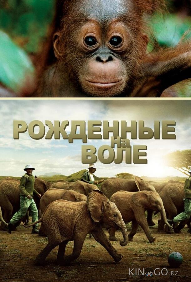 Рожденные на воле Рожденные на воле