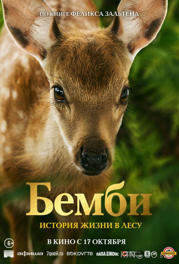 Бемби. История жизни в лесу Бемби. История жизни в лесу