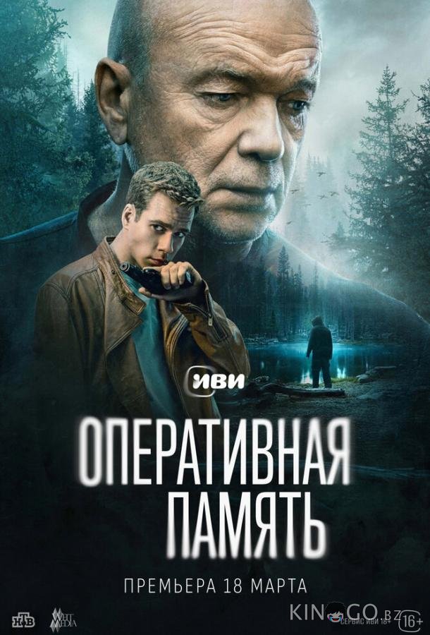 Оперативная память Оперативная память 1 12